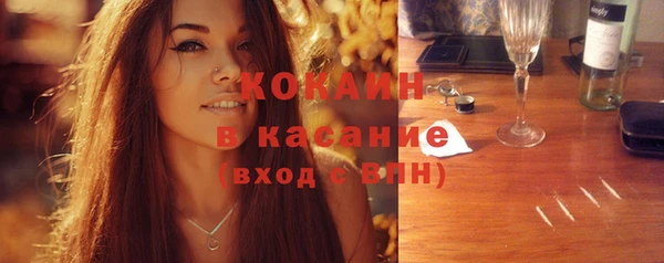 сатива Верея