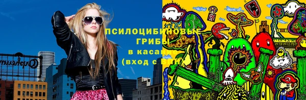 сатива Верея