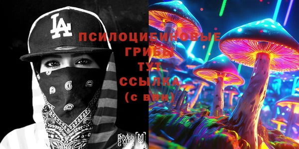 прущий лед Богородск