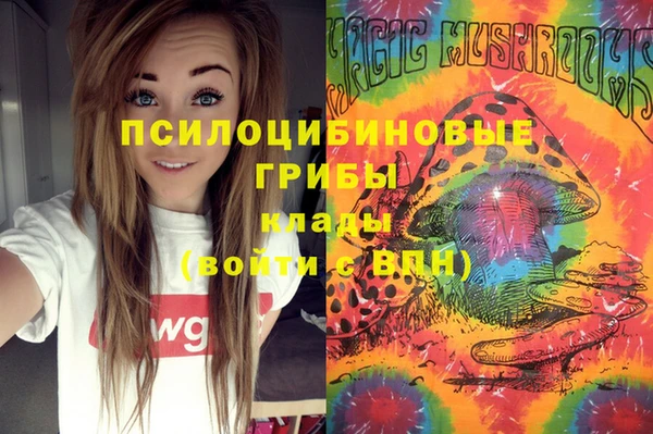 молекула духа Бородино