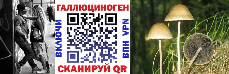blacksprut маркетплейс  Каменногорск  Псилоцибиновые грибы Psilocybe  как найти закладки 
