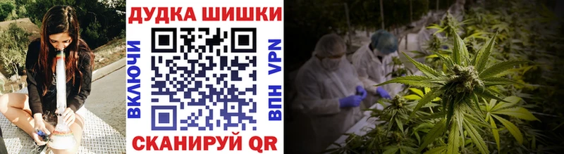 купить наркотики сайты  Каменногорск  Конопля Ganja 